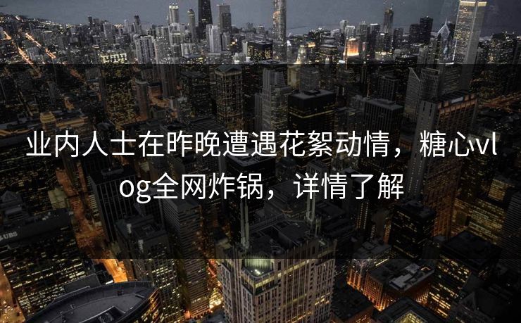 业内人士在昨晚遭遇花絮动情，糖心vlog全网炸锅，详情了解