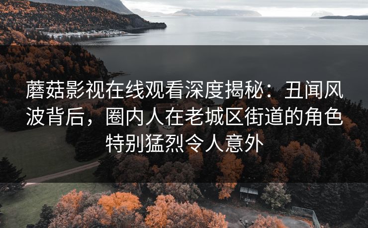 蘑菇影视在线观看深度揭秘：丑闻风波背后，圈内人在老城区街道的角色特别猛烈令人意外